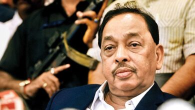bjp-mp-narayan-rane-mock-sharad-pawar-comment-on-ncp-alliance-with-shivsena-for-loksabha-news-update