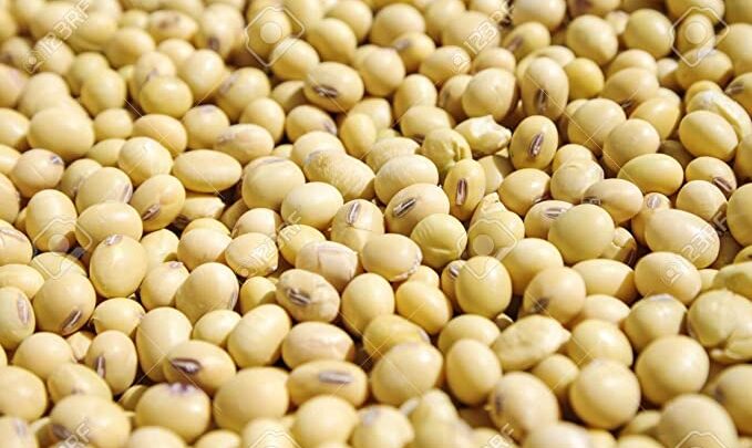 include-beans-in-the-diet-and-get-rid-of-various-ailments-know-the-various-tremendous-benefits