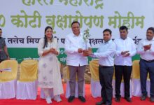 आरे परिसर हिरवागार करण्याचा संकल्प; ८० एकरांत ५ लाख झाडे लागवड