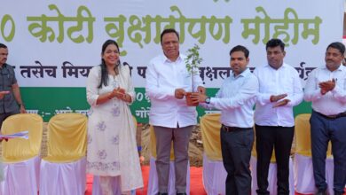 आरे परिसर हिरवागार करण्याचा संकल्प; ८० एकरांत ५ लाख झाडे लागवड