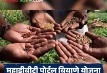 शेतकऱ्यांसाठी दिलासादायक निर्णय; महाडीबीटी पोर्टलवरून प्रमाणित बियाण्यांचे वितरण